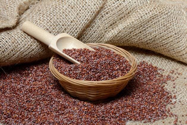 IMAGO Nature: Unsere Erde, Klimawandel, Ernährung, Pflanzen der Zukunft, Quinoa Roter Quinoa (Chenopodium quinoa) mit Schaufel, Quinoasamen *** Red quinoa Chenopodium quinoa with scoop, quinoa seed Copyright: imageBROKER/J.xPfeiffer iblpjr05185578.jpg