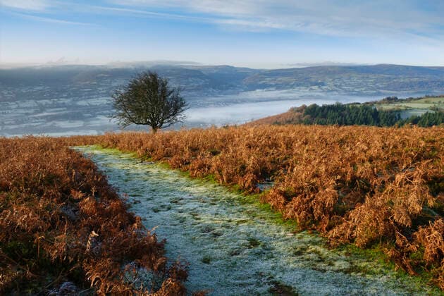 Frost covered footpath on the south side of the Sugar Loaf mountain. Copyright: xDavidxCheshire LOOPxIMAGESx DCH00121014