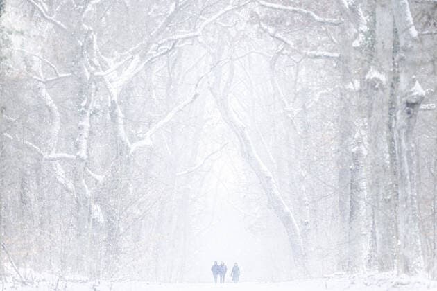 Bilder des Jahres 2021, News 02 Februar News Themen der Woche KW05 News Bilder des Tages Drei Personen laufen in einem verschneiten Wald in Berlin, 07.02.2021. Berlin Deutschland *** Three people walking in a snowy forest in Berlin, 07 02 2021 Berlin Germany Copyright: xFlorianxGaertner photothek.dex