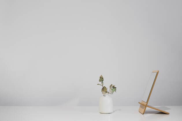 IMAGO Creative: Clickbait, Deko Ideen für Zuhause Dry plant in a vase standing next to the mirror on white table t CR_AXHBBX210210-638507-01