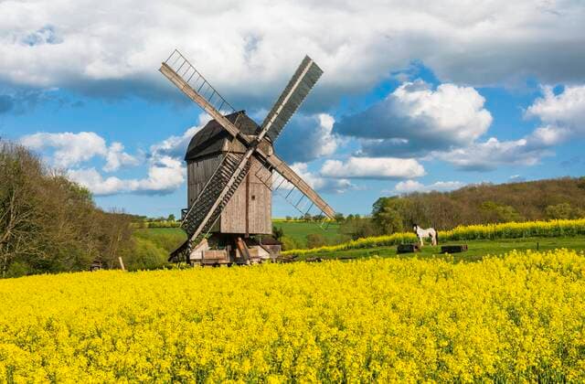 Bock windmill in the rape field, Fahner Höhe, Ballstädt, Gotha, Thuringia, Germany, Europe Copyright: imageBROKER/AndreasxVitting iblavi06688785.jpg