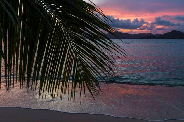 Palm fronds in the sunset, La Digue, Seychelles, Africa Copyright: imageBROKER/SylviaxWestermann ibxsyl06680572.jpg