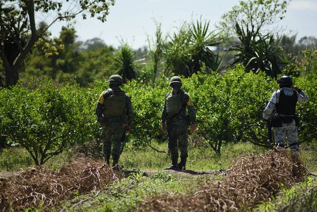 February 21, 2021: A Mexican army plane fell in a field near the El Lencero airport in Veracruz. 6 soldiers died in the accident - ZUMAqp1_ 20210221_zip_qp1_007 Copyright: xHectorxAdolfoxQuintanarxPerezx