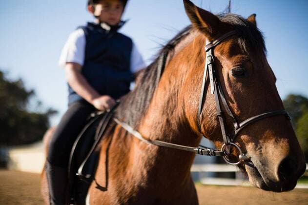 IMAGO Creative, Kinder auf dem Reiterhof Boy riding a horse in the ranch Boy riding a horse in the ranch on a sunny day, model released, , property released, Cape Town, South Africa, 2017-05-02T23:00:00.000Z, 1053069.jpg, rider, countryside, farm, ranch, summer, summertime, casual clothing, helmet, sitting, cheerful, smiling, pony, thoroughbred, stallion, horse, domestic animal, horseback, horse riding, equestrian, training, vacation, holiday, lifestyle, hobby, leisure, childhood, innocence, learning, happy Child, Boy, Male, Caucasian, 8-9 Years, Boys, Caucasian Ethnicity Outdoors,Day