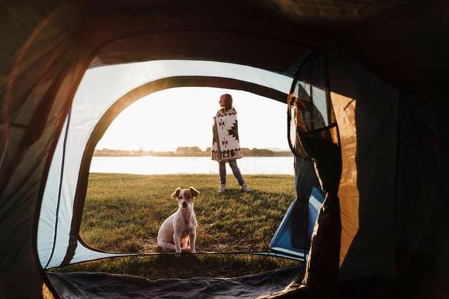 Woman wrapped in shawl camping with dog against lake seen through tent model released Symbolfoto property released EBBF02198