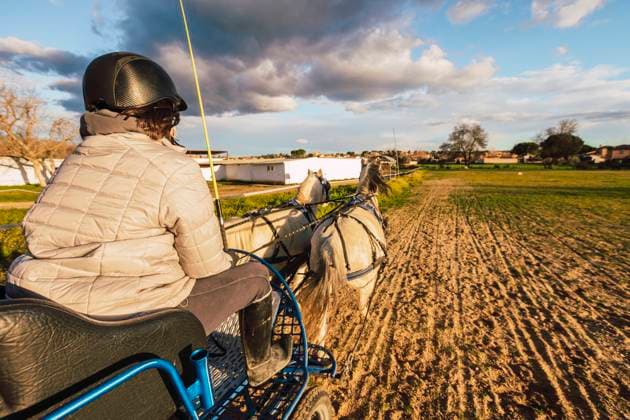 IMAGO Creative, Kinder auf dem Reiterhof Girl training horses while riding carriage in ranch model released Symbolfoto property released RSGF00514