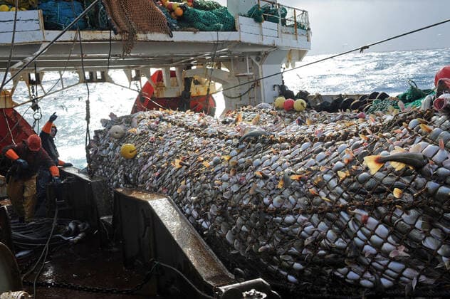 IMAGO Creative, Unsere Erde, Umweltverträgliche Herausforderungen des 21. Jahrhunderts, Überfischung Deep-sea fishing in the Norwegian Sea on board the trawler Grande Hermine in 2011 Deep-sea fishing in the Norwegian Sea on board the trawler Grande Hermine in 2011. La Grande Hermine, factory trawler operated by Compagnie des Peches Saint-Malo (Brittany, north-western France). Trawling net containing fish caught in the North Atlantic Ocean: cod Europe; Northern Europe; Norway  Copyright: xMochetxM Andia.frx 372780