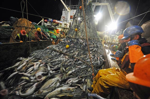 IMAGO Creative, Unsere Erde, Umweltverträgliche Herausforderungen des 21. Jahrhunderts, Überfischung Deep-sea fishing in the Norwegian Sea on board the trawler Grande Hermine in 2011 Deep-sea fishing in the Norwegian Sea on board the trawler Grande Hermine in 2011. La Grande Hermine, factory trawler operated by Compagnie des Peches Saint-Malo (Brittany, north-western France). Trawling net containing fish caught in the North Atlantic Ocean: cod Europe; Northern Europe; Norway  Copyright: xMochetxM Andia.frx 372782