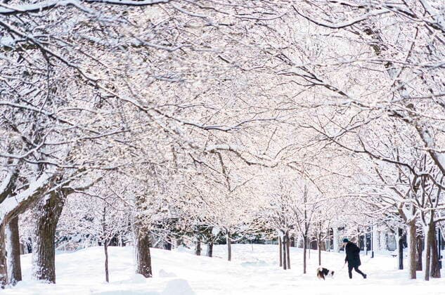 February 25, 2021, Montreal, PQ, Canada: A man walks his dog under snow-covered trees in a park during the COVID-19 pandemic in Montreal, on Thursday, February 25, 2021. Montreal Canada  - ZUMAc35_ 20210225_zaf_c35_001 Copyright: xPaulxChiassonx