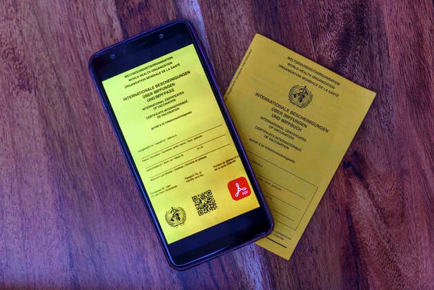 A possible visualization of the planned digital vaccination card lies next to an analog vaccination card The EU heads of state and government had decided on Thursday on a European solution to the Corona vaccination card Topic image, symbol image Foto:xD.xAnoraganingrumx xFuturexImage