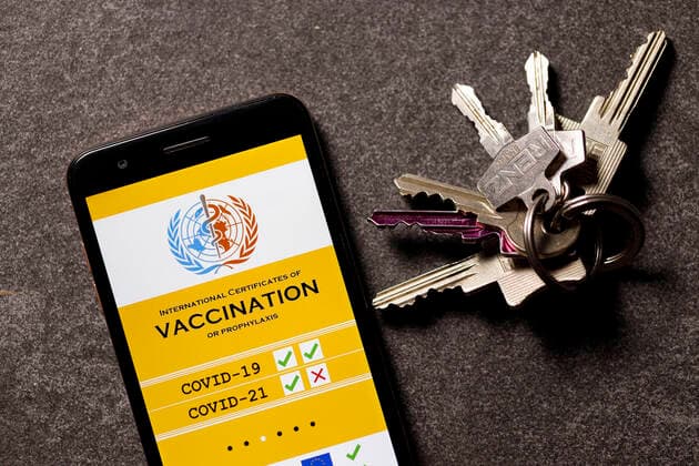A possible visualization of the planned digital vaccination card The EU heads of state and government had decided on Thursday on a European solution to the Corona vaccination card Topic image, symbol image Foto:xC.xHardtx xFuturexImage