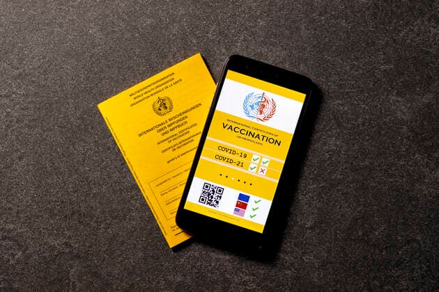 A possible visualisation of the planned digital vaccination card lies next to an analogue vaccination card The EU heads of state and government had decided on Thursday on a European solution for the Corona vaccination card Topic image, symbol image Foto:xC.xHardtx xFuturexImage