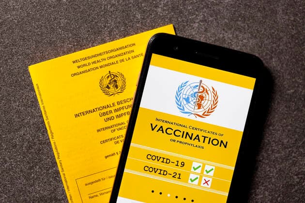 A possible visualisation of the planned digital vaccination card lies next to an analogue vaccination card The EU heads of state and government had decided on Thursday on a European solution for the Corona vaccination card Topic image, symbol image Foto:xC.xHardtx xFuturexImage
