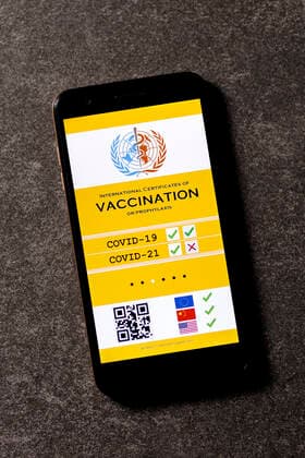 A possible visualization of the planned digital vaccination card The EU heads of state and government had decided on Thursday on a European solution to the Corona vaccination card Topic image, symbol image Foto:xC.xHardtx xFuturexImage