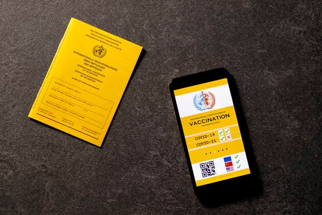 A possible visualization of the planned digital vaccination card lies next to an analog vaccination card The EU heads of state and government had decided on Thursday on a European solution to the Corona vaccination card Topic image, symbol image Foto:xC.xHardtx xFuturexImage