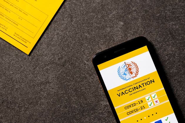 A possible visualization of the planned digital vaccination card lies next to an analog vaccination card The EU heads of state and government had decided on Thursday on a European solution to the Corona vaccination card Topic image, symbol image Foto:xC.xHardtx xFuturexImage