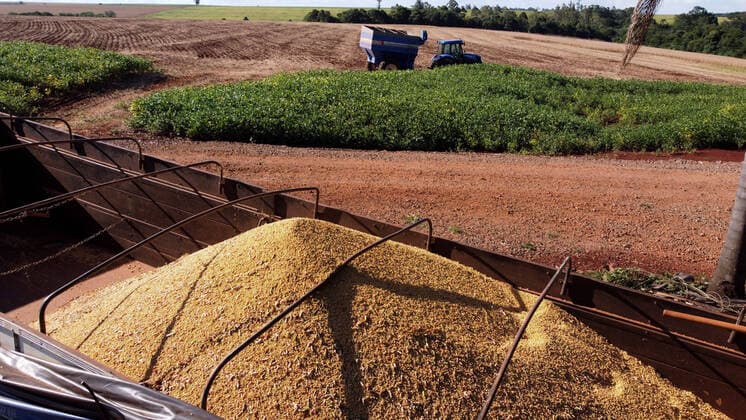 IMAGO Nature: Unsere Erde, Klimawandel, Ernährung, Pflanzen der Zukunft, Soja CAMPO MOURÃO, PR - 26.02.2021: PRODUTORES INICIAM COLHEITA DE SOJA NO PR - The 2020 21 summer grain harvest is expected to total 23.9 million tons in an area of 6.1 million hectares, according to the Department of Rural Economy (Deral), of the State Secretariat for Agriculture and Supply. The volume indicates a reduction of 4% compared to the 2019 2020 harvest. This month& 39;s report points out that both the climate and the occurrence of pests have reduced productivity and grain quality in some of the main crops in Paraná. In the photo, tractors, harvesters, trucks, rural workers and farmers during soybean harvest in Paraná. x2036710x  DirceuxPortugal