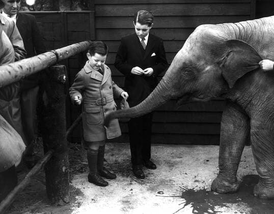 February 6, 1938, London, England, United Kingdom: American five year old TEDDY (EDWARD MOORE KENNEDY) (left), and his older brother, twelve year old BOBBY, (ROBERT FRANCIS KENNEDY), (right), give some sugar to BABAR the baby elephant, after the opening of the new Children s Zoo at Regents Park apart of the world famous pioneering London Zoo which was the first children s zoo in Europe and the Philadelphia Zoo was the first in North America to open a special zoo just for children. London United Kingdom - ZUMAk09_ 19380206_jsb_k09_069 Copyright: xKeystonexPressxAgencyx