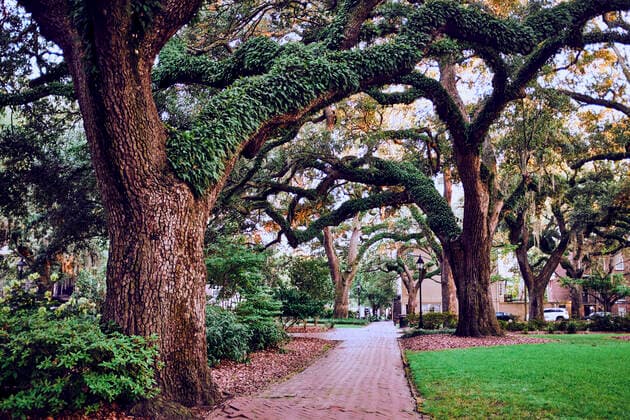 Public square beautiful willow trees Savannah, GA, United States CR_CHPH210226B-621323-01