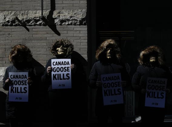 PETA protesters wearing skull masks and fake Canada Goose coats holds signs at a protest outside of a Canada Goose retail store in New York City on Wednesday, March 3, 2021. The protest is part of a week of action that will also include Canada Goose protests in Beverly Hills, California, Boston and Pittsburgh.  NYP20210303110 JohnxAngelillo