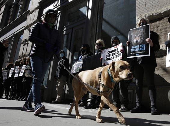 PETA protesters wearing skull masks and fake Canada Goose coats holds signs at a protest outside of a Canada Goose retail store in New York City on Wednesday, March 3, 2021. The protest is part of a week of action that will also include Canada Goose protests in Beverly Hills, California, Boston and Pittsburgh.  NYP20210303112 JohnxAngelillo