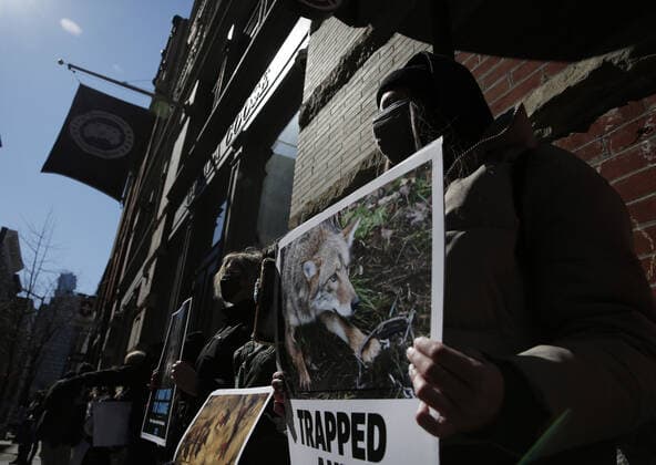 PETA protesters wearing skull masks and fake Canada Goose coats holds signs at a protest outside of a Canada Goose retail store in New York City on Wednesday, March 3, 2021. The protest is part of a week of action that will also include Canada Goose protests in Beverly Hills, California, Boston and Pittsburgh.  NYP20210303113 JohnxAngelillo