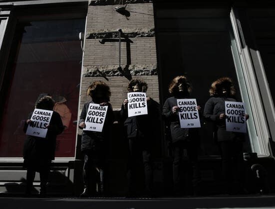 PETA protesters wearing skull masks and fake Canada Goose coats holds signs at a protest outside of a Canada Goose retail store in New York City on Wednesday, March 3, 2021. The protest is part of a week of action that will also include Canada Goose protests in Beverly Hills, California, Boston and Pittsburgh.  NYP20210303114 JohnxAngelillo