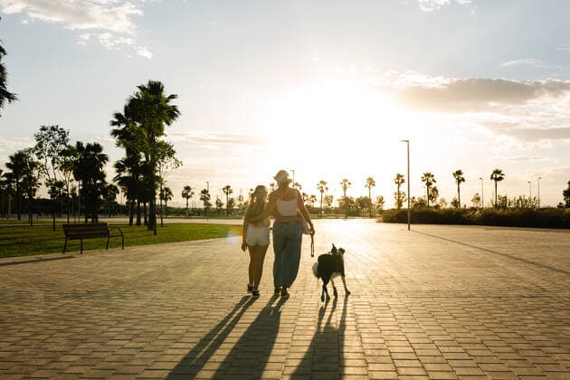 IMAGO Creative: Sommer, Abendspaziergang Back view of woman embracing teenage girl while walking with Border Collie dog along pathway in park on background of sundown sky in summer, Model released Copyright: xMiguelxVallsx MR