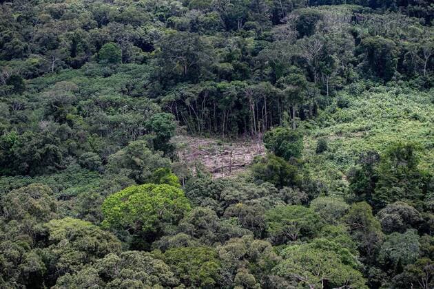 March 3, 2021, Sao Paulo, Sao Paulo, Brazil: Illegal deforestation in the Amazon rainforest in the upper Rio Negro, in the state of Amazonas, on the border between Brazil and Colombia, the northwest of the country. Sao Paulo Brazil - ZUMAl146 20210303_zaf_l146_164 Copyright: xPauloxLopesx