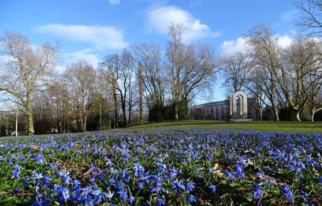 Blick ueber Blumenwiese im Stadtgarten auf Baeume und Edelstahlskulptur. Im HIntergrund das Dorint Hotel Neuss Neuss Stadtgarten Blausternchen mit Edelstahlskulptur *** View over flower meadow in the city garden on trees and stainless steel sculpture In the background the Dorint Hotel Neuss Neuss city garden blue star with stainless steel sculpture