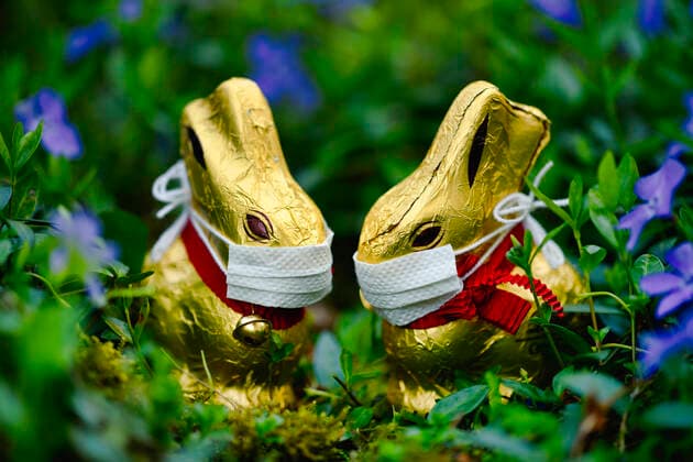 two chocolate easter bunny with mouth guard in small periwinkle Vinca minor , symbol third wave at easter during, corona crisis, Stuttgart, Baden Württemberg, Germany easter bunny corona crisis