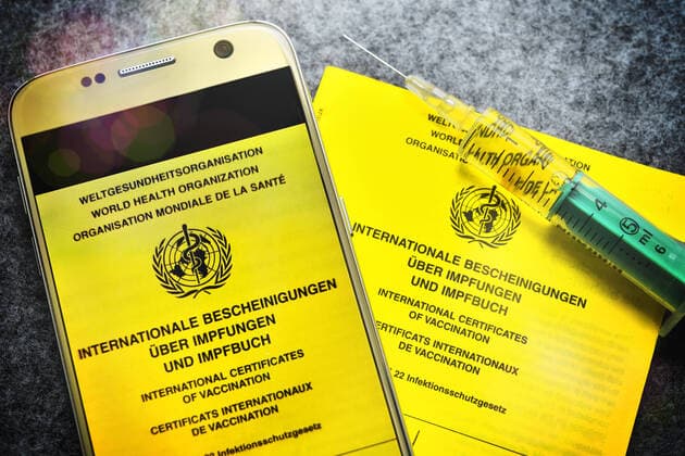 Vaccination certificate, vaccination syringe and smartphone, digital vaccination certificate ** NUR FUER REDAKTIONELLE ZWECKE ** EDITORIAL USE ONLY **