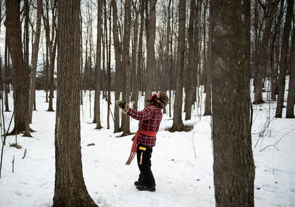 March 13, 2021, Ottawa, on, Canada: Mario Belisle, educator and program manager at the Vanier Museopark in Ottawa, looks for a mature and healthy maple tree for community members to tap in the sugar bush on Saturday, March 13, 2021. The Vanier sugar bush is one of a few active urban sugar shacks, where maple syrup is produced the traditional way with buckets of maple water collected by hand. Ottawa Canada  - ZUMAc35_ 20210313_zaf_c35_090 Copyright: xJustinxTangx