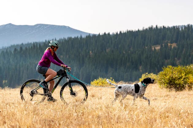 Side view of smiling woman cycling behind dog on field during vacation Vail, CO, United States CR_BRHU210312A-678815-01 ,model released, Symbolfoto