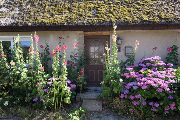 Traditional thatched house in Neu Reddevitz, Rügen Island, Germany Europe 31 07 2020