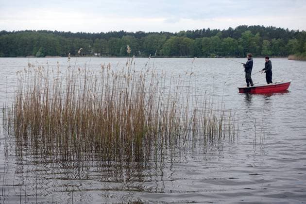 03.05.2020, Dranse, Brandenburg, GER - Jugendliche in einem Boot angeln in einem See. (MR=yes, 15-20 Jahre, Angel, Angeln, Angelruten, Angelsport, Angler, aussen, Aussenaufnahme, ausspannen, Brandenburg, deutsch, Deutschland, Dranse, entspannen, Entspannung, erholen, Erholung, Europa, europaeisch, fischen, Fischer, Fischerei, Fischfang, Freizeit, Freizeitaktivitaet, Fruehjahr, Fruehling, Geduld, geduldig, Gesellschaft, Gewaesser, Hobby, Hobbyangler, Jahreszeit, Jugendliche, Menschen, Natur, Personen, QF, Querformat, relaxen, Ruhe, ruhig, Ruten, See, still, Stille, Teenager, Wasser, Westeuropa) 200503D187DRANSE.JPG *** 03 05 2020, Dranse, Brandenburg, GER young people in a boat fishing in a lake MR yes, 15 20 years, fishing, fishing rods, f