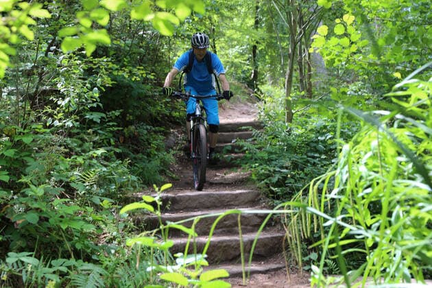 Mountainbiker auf einem Trail im Pfälzerwald, Deutschland (model released) Copyright: xx