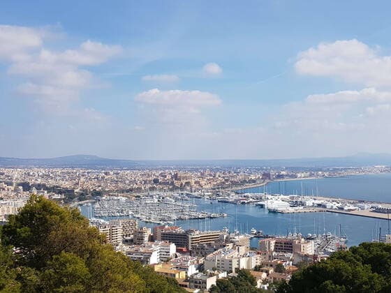 Theme photo travel, Corona, Majorca, 22 03 2021 View of the port of Palma, theme photo travel, Corona, Majorca Copyright: xAugstx xEibner-Pressefotox EP_jat