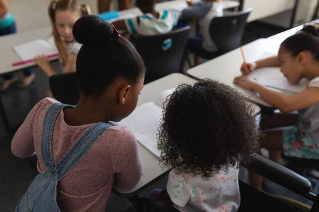 Rear view of schoolgirls studying together at desk in classroom Rear view of schoolgirls studying together at desk in classroom of elementary school, model released, , property released, capetown, 28.01.2019, 1227878.jpg, school, elementary school, classroom, desk, bench, casual clothing, dreadlocks, school kid, schoolboy, schoolgirl, student, classmate, notebook, pencil, sitting, standing, looking, study, studying, learning, childhood, innocence, development, education, academic, information, knowledge, lifestyle, elementary, intelligent, intelligence, wisdom, diverse, diversity, multi-ethnic, ethnicity, ethnically diverse Child, Boy, Male, Black, Girl, Female, Caucasian, Chinese, Mixed-Race, 6-7 Years, Boys, African Ethnicity, Girls, Cau