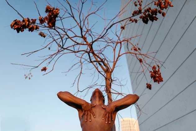IMAGO Creative: Herbst in der Stadt Shirtless male dancer practicing against bare tree model released Symbolfoto TCEF01639