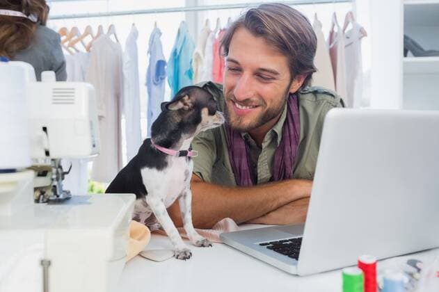 IMAGO Creative, Health, Hunde im Büro reduzieren Stress Cute chihuahua sitting on desk Cute chihuahua sitting on desk next to a fashion designer, model released, Cape Town, South Africa, 21.03.2013, 179109.jpg, brown hair, facial hair, attractive, design, designer, creative, business, career, job, profession, professional, fashion, fashionable, industry, cool, style, hip, stylish, studio, office, trendy, occupation, clothes, clothes rail, casual, sewing machine, laptop, notebook, technology, computer, wireless, dog, pet, puppy, one animal, chihuahua, cute, looking, smiling, happy 20s, Young Adult, Man, Male, Caucasian, Woman, Female, 25-29 Years, Young Men, Caucasian Ethnicity, 20-24 Years, Young Women Indoors,Front view,Day,Half length