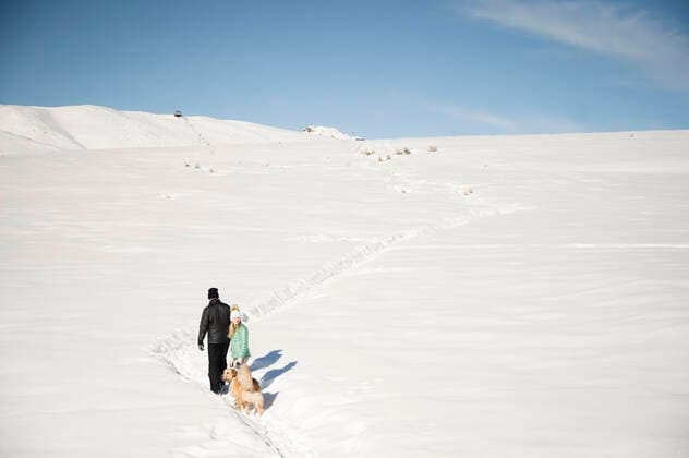 Father and Daughter Walking Golden Retriever Through Snow on Sunny Day Ketchum, ID, United States CR_ERWA210325-674776-01 ,model released, Symbolfoto