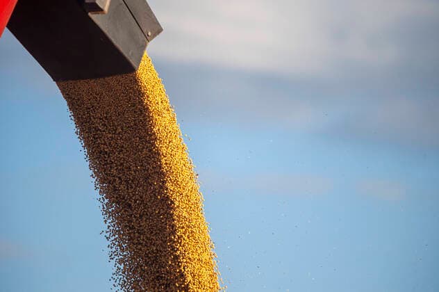 IMAGO Nature: Unsere Erde, Klimawandel, Ernährung, Pflanzen der Zukunft, Soja Landwirtschaft, Soja Anbau April 3, 2021, Firmat, Santa Fe, Argentina: Soybeans are dumped into a trailer for transportation as farmers harvest a soybean field in Firmat, Santa Fe, Argentina. Firmat Argentina - ZUMAm105 20210403_zaf_m105_009 Copyright: xPatricioxMurphyx