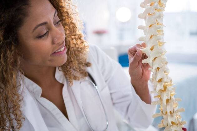 Smiling physiotherapist looking at spine model Smiling physiotherapist looking at spine model in clinic, model released, Cape Town, South Africa, 01.06.2016, 805150.jpg, medical, clinic, hospital, practitioner, doctor, specialist, physio, therapist, physical therapist, physiotherapist, physiotherapy, osteopath, orthopedic, lab coat, stethoscope, medical equipment, smiling, cheerful, touching, looking, examining, checking, diagnostic, stand, skeleton, spine, pelvis, vertebrae, bone, spine model, spinal column, health service, healthcare, bodycare, healthcare and medicine, occupation, expertise, profession, professional, happy Baby, Girl, Female, Mixed-Race, 0-1 Months, Baby Girls, Mixed-Race Person Indoors