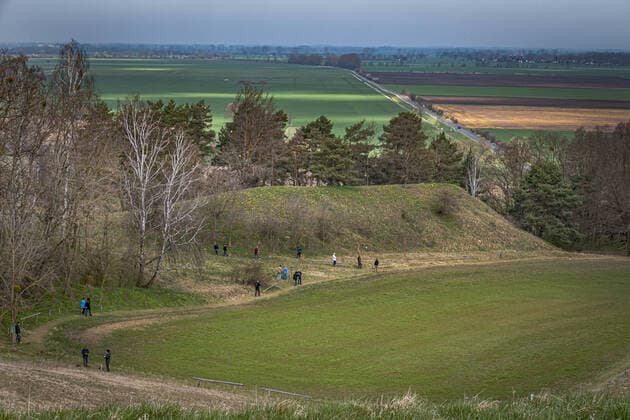 Mallnow im Landkreis MOL im Bundesland Brandenburg; jedes Jahr im April blüht das Adonisröschen an den Oderhängen bei Lebus und lockt Touristen an Oderbruch Tourismus Adonisröschen *** Mallnow in the district of MOL in the federal state of Brandenburg every year in April the Adonis rose blooms on the Oder slopes near Lebus and attracts tourists to Oderbruch Tourism Adonis rose
