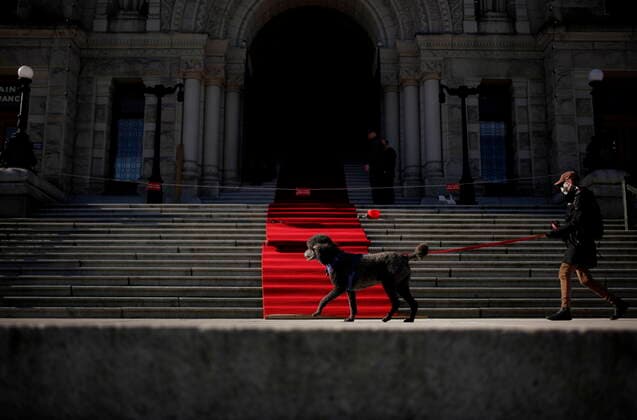 April 12, 2021, Victoria, BC, Canada: Legislative staff roll out the red carpet before the arrival of Lt.- Gov. Janet Austin to the B.C. Legislature to deliver the prorogation address in the chamber ahead of the throne speech in Victoria, B.C., on Monday, April 12, 2021. Victoria Canada  - ZUMAc35_ 20210412_zaf_c35_011 Copyright: xChadxHipolitox