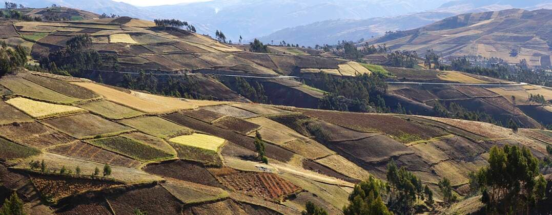 IMAGO Nature: Unsere Erde, Klimawandel, Ernährung, Pflanzen der Zukunft, Quinoa Felder mit Quinoa (Chenopodium quinoa) und anderen Äckern, Provinz Andahuaylas, Peru, Südamerika *** Fields with quinoa Chenopodium quinoa and other fields, Andahuaylas Province, Peru, South America Copyright: imageBROKER/PeterxGiovannini ibxgiv06726852.jpg