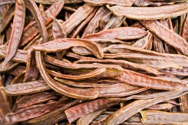 Johannisbrotbaum, Johannisbrot-Baum, Karobe (Ceratonia siliqua), reife Fruechte des Johannisbrotbaums carob, carob bean, St. John s bread (Ceratonia siliqua), ripe fruits of the carob tree BLWS641703 *** Carob tree, St John s bread Ceratonia siliqua , ripe fruits of the carob tree carob, carob bean, St John s bread Ceratonia siliqua , ripe fruits of the carob tree BLWS641703 Copyright: xblickwinkel McPHOTO A.xSchauhuberx