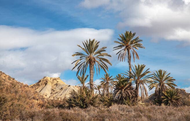 Hills landscape of the Tabernas desert Almeria Spain Nature Adventure Travel Europa