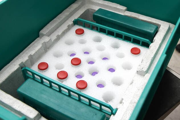 Elzach theme image Vaccine doses, Corona, Covid 19, Vaccine delivery at a pharmacy, Vaccine distribution to GPs and GP practices theme image Vaccine doses, Corona, Covid 19, Vaccine delivery at a pharmacy, Vaccine distributio Copyright: xFleigx xEibner-Pressefotox EP_dfg